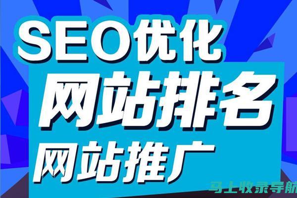 SEO入门宝典：从基础知识到实践应用全面解析