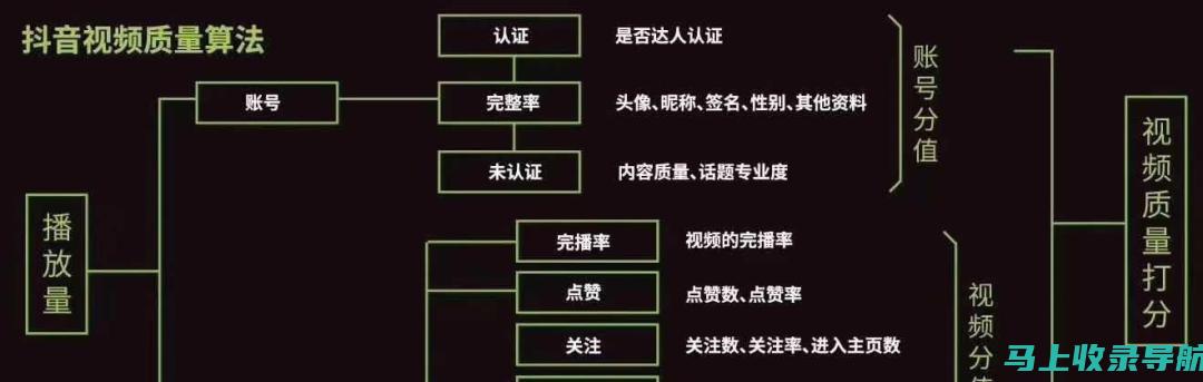 掌握这些抖音SEO关键词排名技巧，轻松成为短视频达人